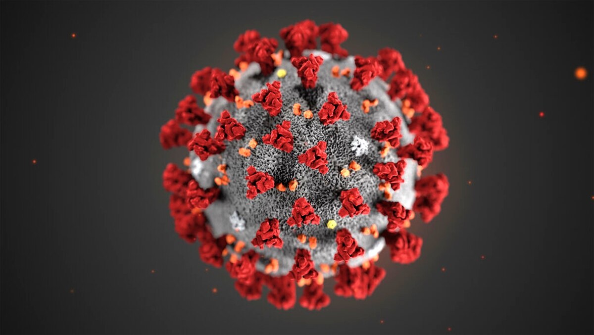 Image of COVID virus 