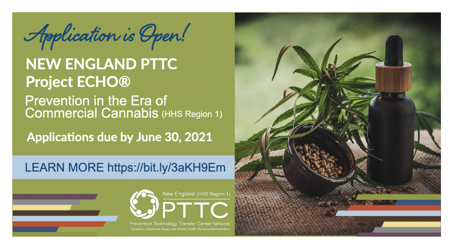 New England PTTC Project ECHO Prevention in the Era of Commercial Cannabis (HHS Region 1)