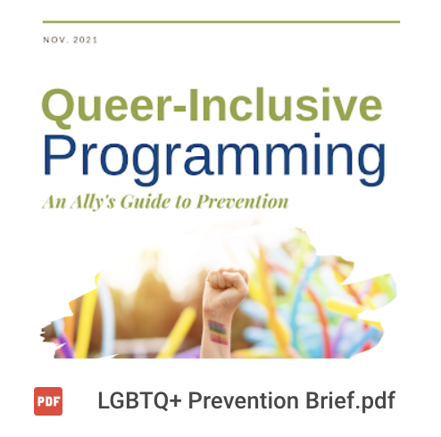LGBTQ+ Prevention Brief