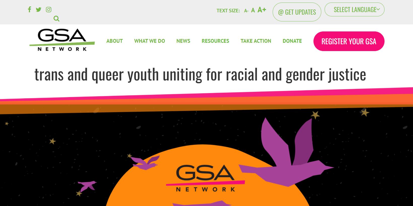 Gay-Straight Alliance Network  (GSA Network)