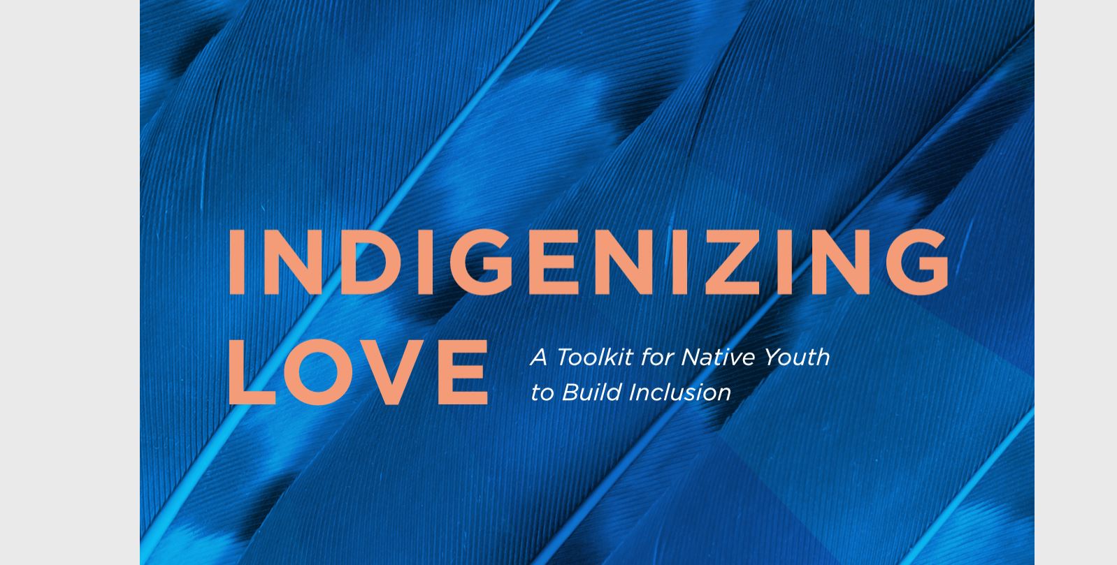 Indigenizing Love: A Toolkit for Native Youth to Build Inclusion