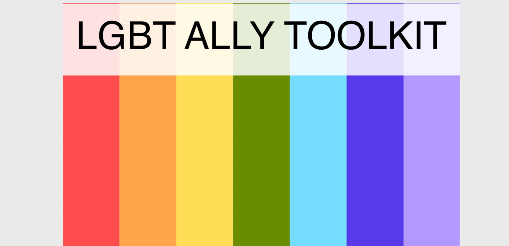 LGBT Ally Toolkit Amnesty International, 2016