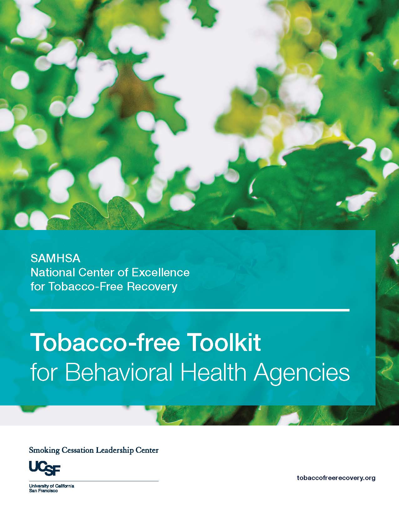 Toolkit for Tobacco-Free Recovery Cover