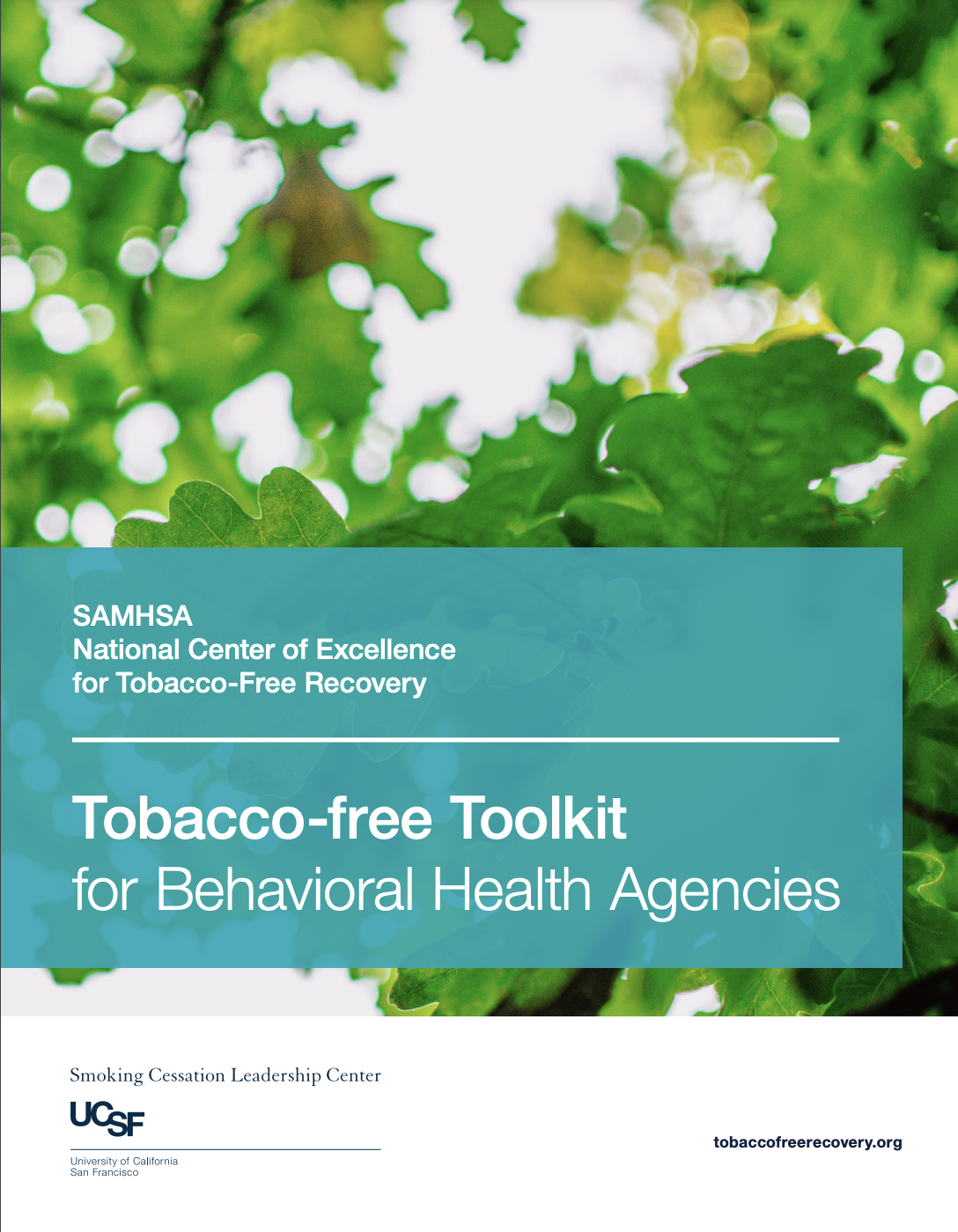 Tobacco-free Toolkit for Behavioral Health Agencies 