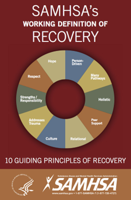 Wheel that explains the working definition of recovery
