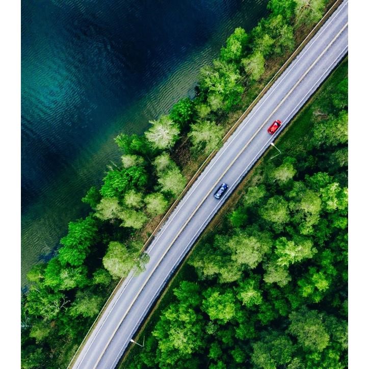 Aerial view of road among trees and water
